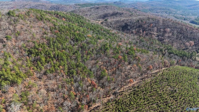 1340 County Road 45, Piedmont, AL 36272