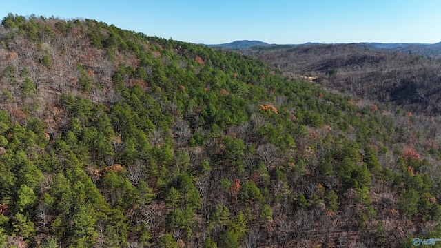 1340 County Road 45, Piedmont, AL 36272