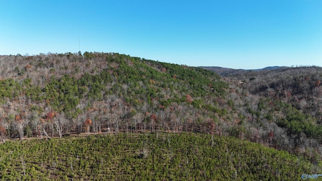 1340 County Road 45, Piedmont, AL 36272