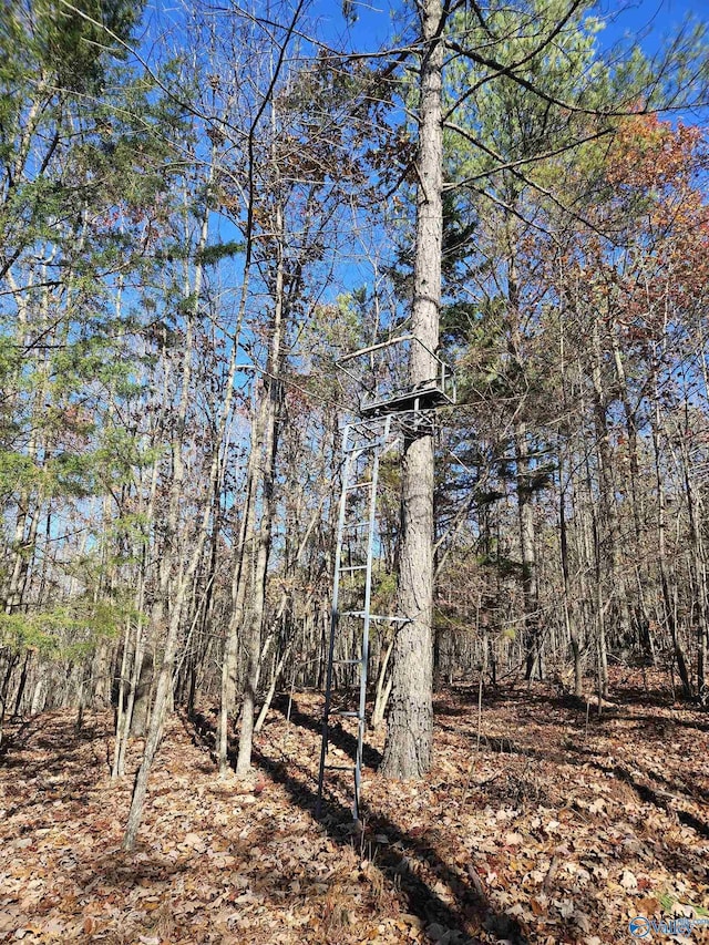 1340 County Road 45, Piedmont, AL 36272