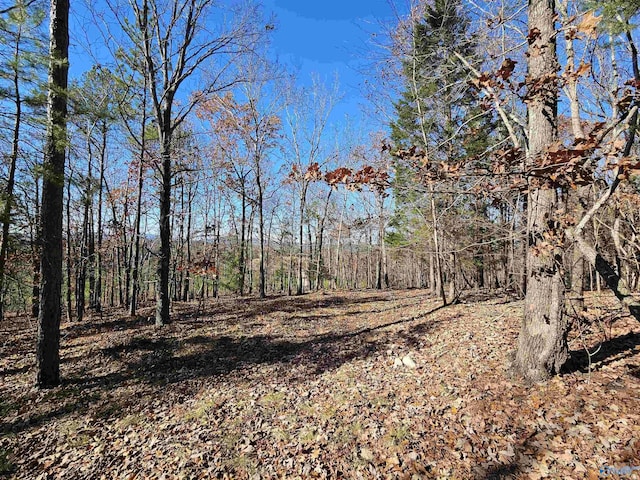 1340 County Road 45, Piedmont, AL 36272