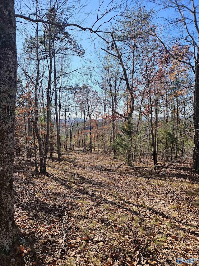 1340 County Road 45, Piedmont, AL 36272