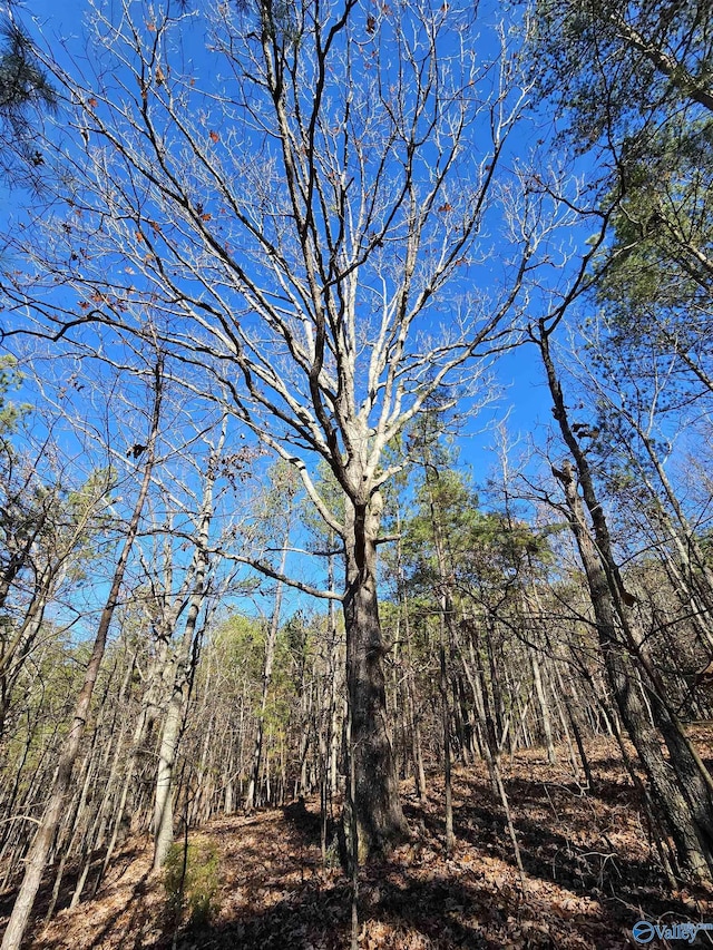 1340 County Road 45, Piedmont, AL 36272