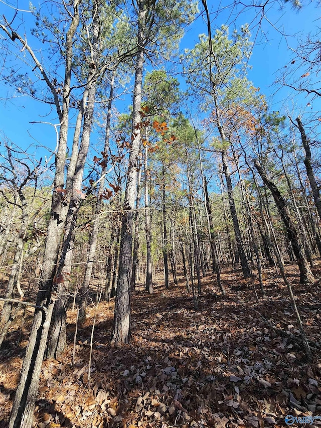 1340 County Road 45, Piedmont, AL 36272