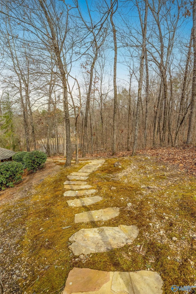 view of yard featuring a view of trees