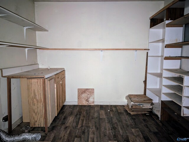 interior space with dark hardwood / wood-style flooring