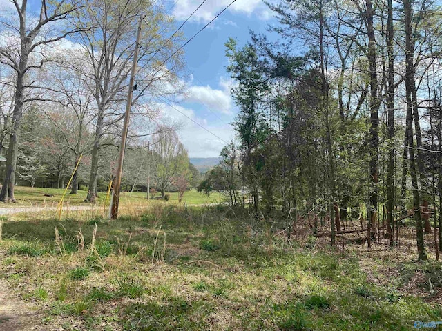 LOT7 Hickory Ln, Valley Head AL, 35989 land for sale