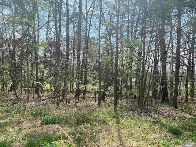 Listing photo 2 for LOT7 Hickory Ln, Valley Head AL 35989