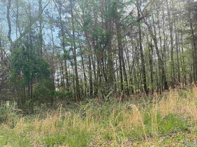 Listing photo 3 for LOT7 Hickory Ln, Valley Head AL 35989