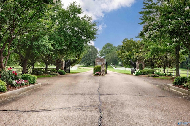 1211 SW Rountree Pl, Madison, AL 35756 - view of asphalt street featuring a gate, curbs, and a gated entry