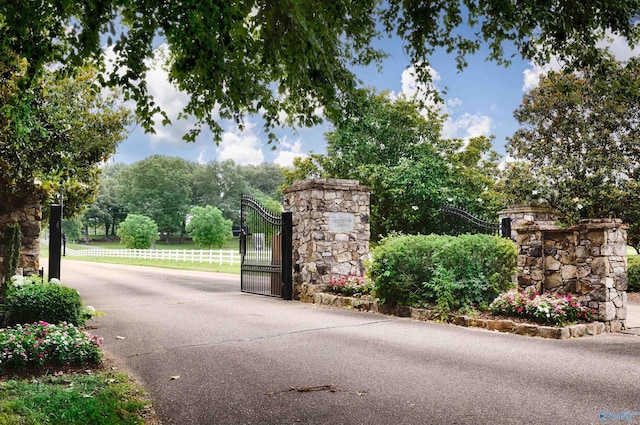 1211 SW Rountree Pl, Madison, AL 35756 - view of gate