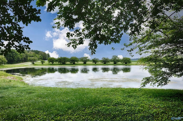 1211 SW Rountree Pl, Madison, AL 35756 - water view