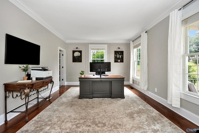 1211 SW Rountree Pl, Madison, AL 35756 - office area featuring ornamental molding, healthy amount of natural light, dark wood-style flooring, and baseboards