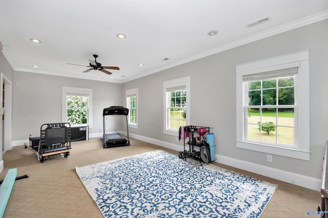 1211 SW Rountree Pl, Madison, AL 35756 - exercise room featuring a ceiling fan, crown molding, baseboards, recessed lighting, and carpet