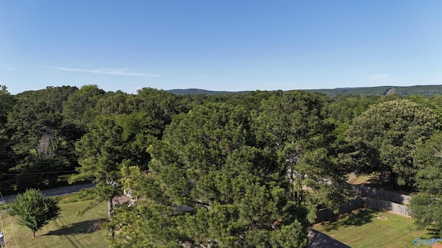 119 Saint Clair Ln, Huntsville, AL 35811 - aerial view of property and surrounding area with a forest