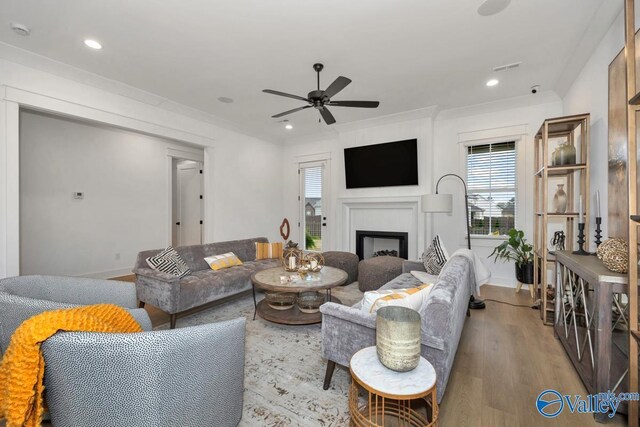 living room featuring light hardwood / wood-style floors and ceiling fan