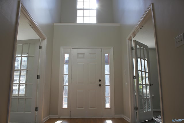 foyer featuring a wealth of natural light and a high ceiling