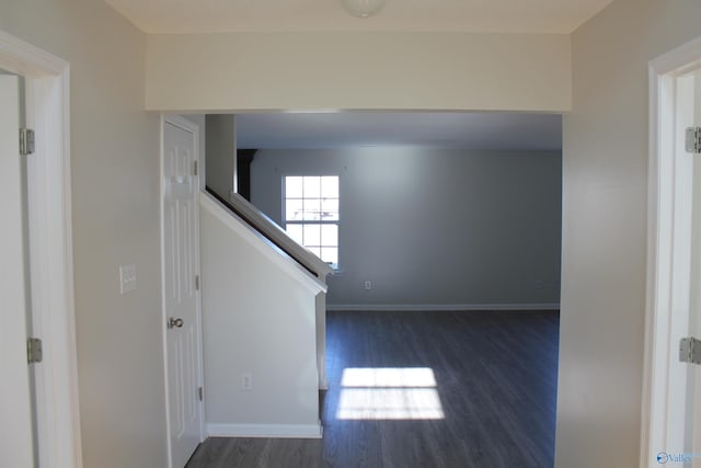 interior space with dark hardwood / wood-style floors