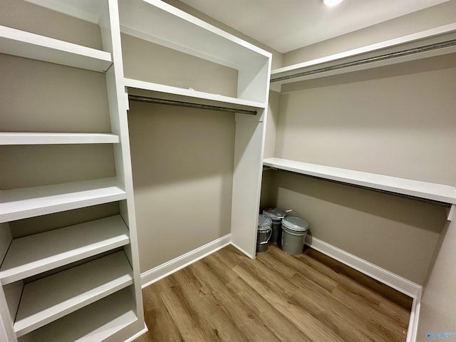 spacious closet with hardwood / wood-style floors