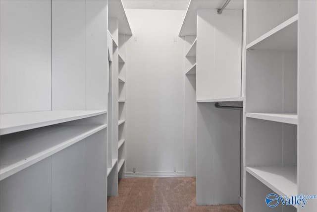 spacious closet featuring dark colored carpet