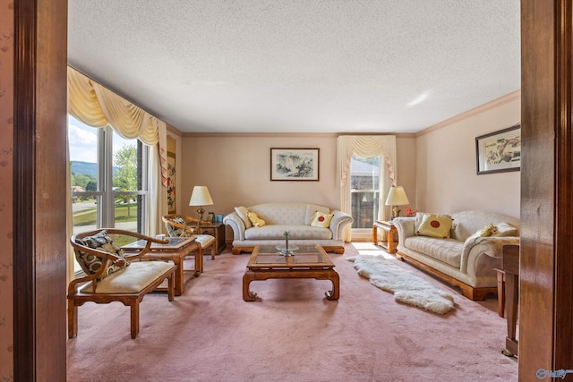 carpeted living room featuring a textured ceiling, ornamental molding, and a wealth of natural light