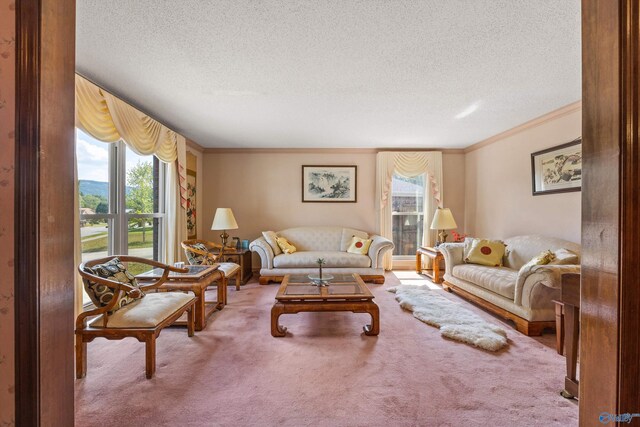 living room with light carpet, a textured ceiling, and crown molding