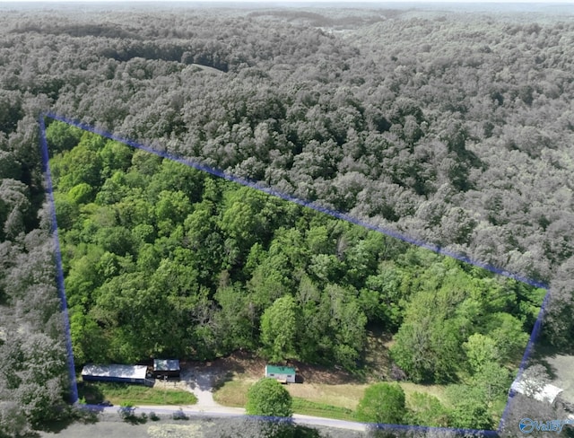 140 Ben Johnson Rd, Pulaski, TN 38478 - aerial overview of property's location featuring a forest and property parcel outlined