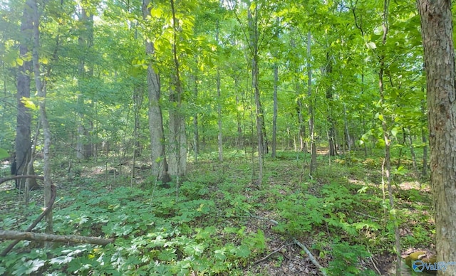 140 Ben Johnson Rd, Pulaski, TN 38478 - view of woods
