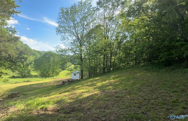 140 Ben Johnson Rd, Pulaski, TN 38478 - view of green lawn featuring a wooded view