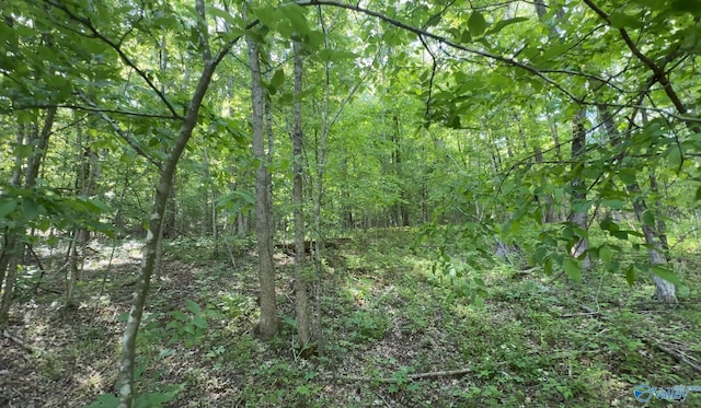 140 Ben Johnson Rd, Pulaski, TN 38478 - view of woods