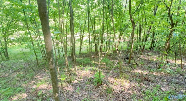 140 Ben Johnson Rd, Pulaski, TN 38478 - view of nature