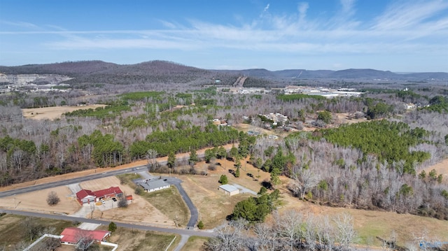 bird's eye view featuring a mountain view