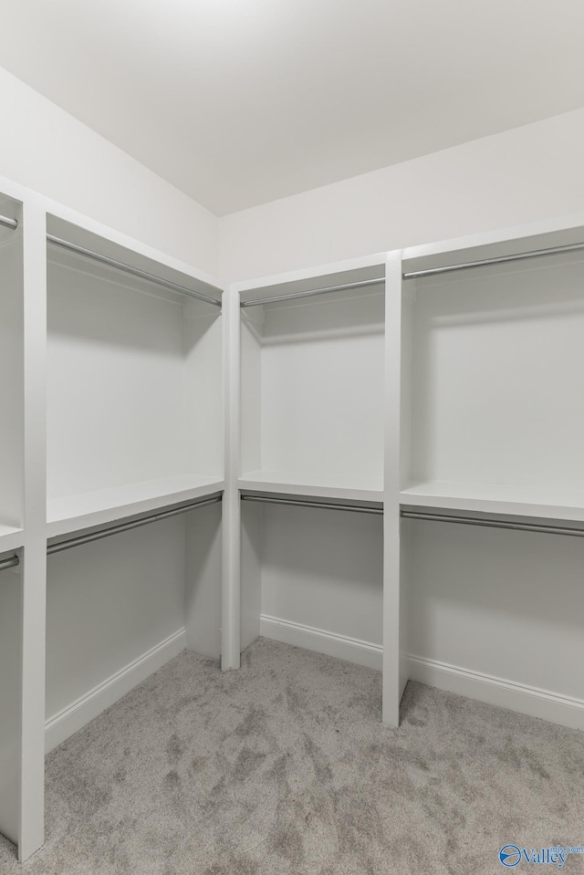 spacious closet with light carpet