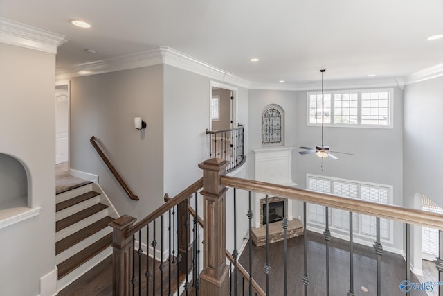 stairs with hardwood / wood-style floors, ceiling fan, and crown molding