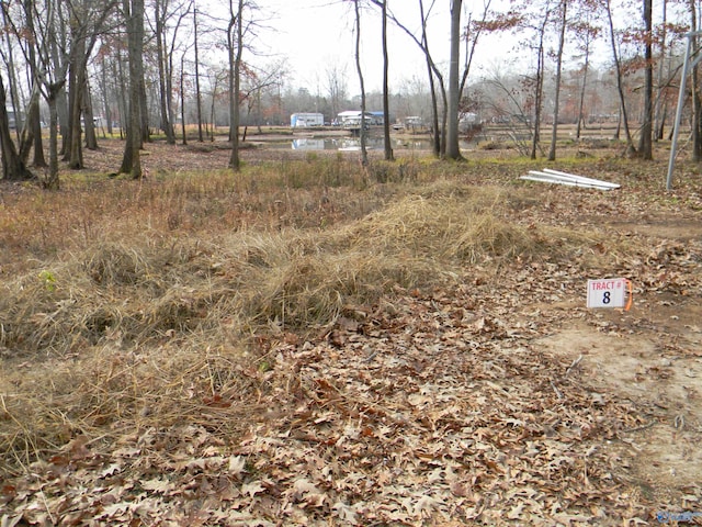 LOT8NICKELSCOVE County Road 182, Cedar Bluff AL, 35959 land for sale