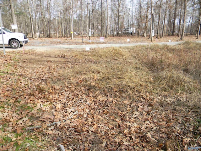 Listing photo 3 for LOT8NICKELSCOVE County Road 182, Cedar Bluff AL 35959