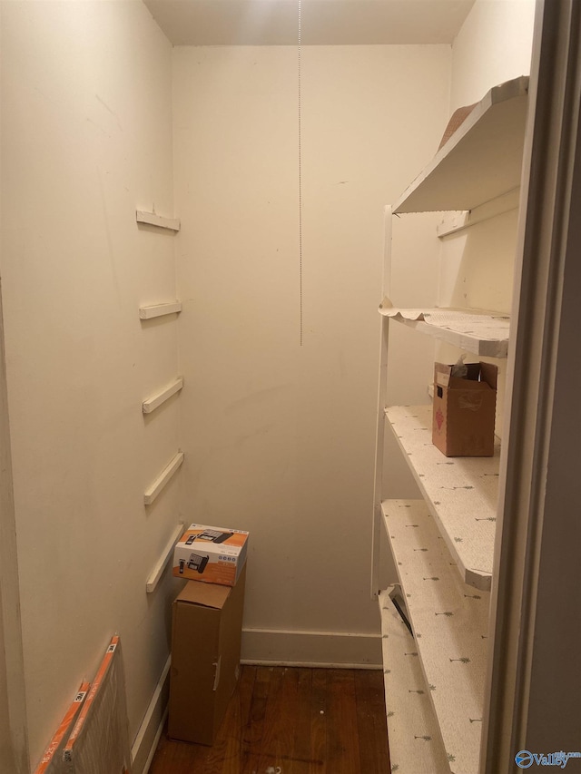 spacious closet featuring dark hardwood / wood-style flooring