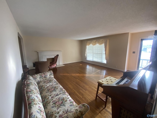 living room featuring hardwood / wood-style flooring and a textured ceiling