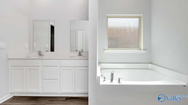 bathroom with a bath, wood finished floors, a sink, and double vanity