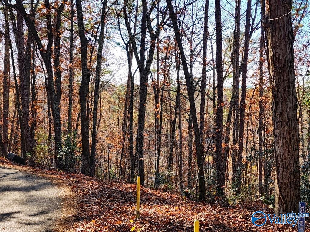 92ACRES Forest Rd, Gadsden, AL 35901