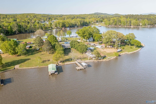 220 County Road 564, Leesburg, AL 35983 - aerial view with a view of trees and a water view