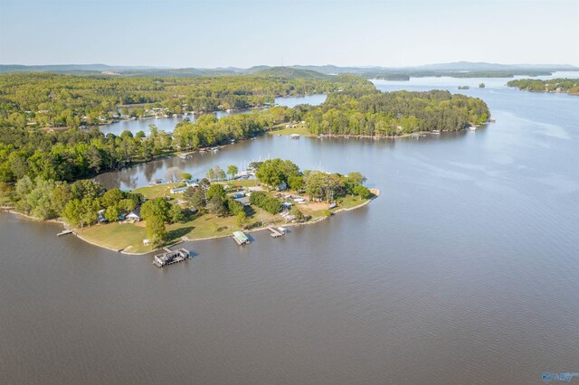 220 County Road 564, Leesburg, AL 35983 - bird's eye view featuring a view of trees and a water view