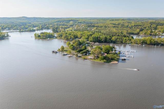 220 County Road 564, Leesburg, AL 35983 - birds eye view of property with a forest view and a water view