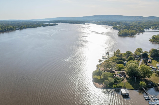 220 County Road 564, Leesburg, AL 35983 - drone / aerial view with a water view