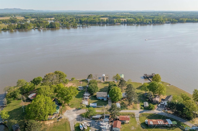 220 County Road 564, Leesburg, AL 35983 - birds eye view of property with a water view
