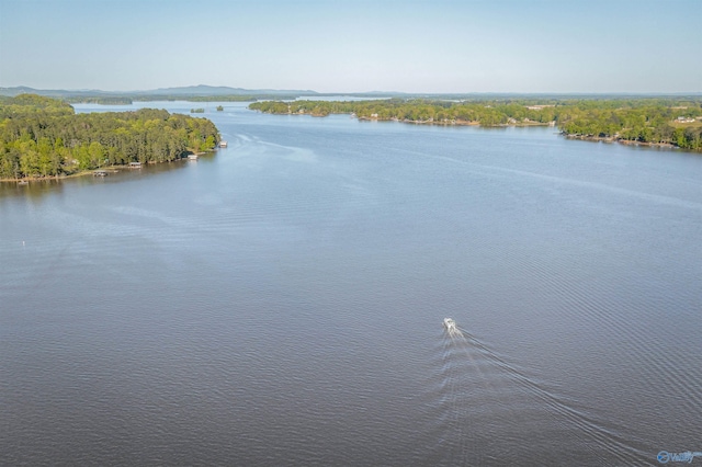 220 County Road 564, Leesburg, AL 35983 - water view