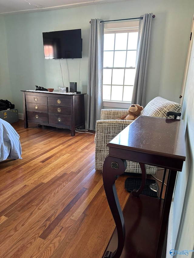 bedroom featuring wood-type flooring