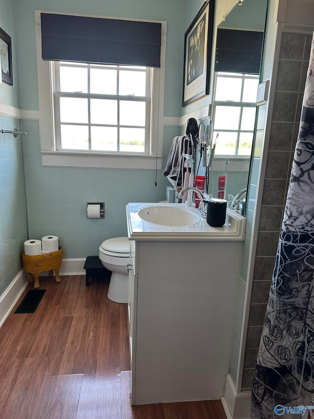 bathroom with vanity, plenty of natural light, and wood-type flooring