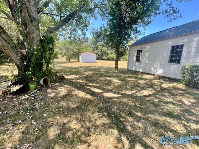 view of yard with a shed