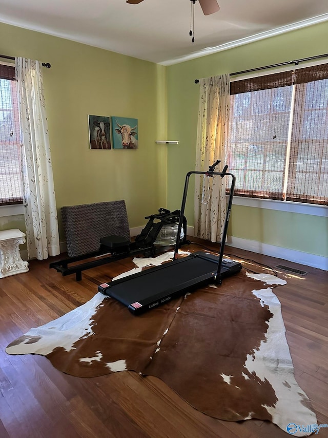 workout area with hardwood / wood-style flooring and ceiling fan